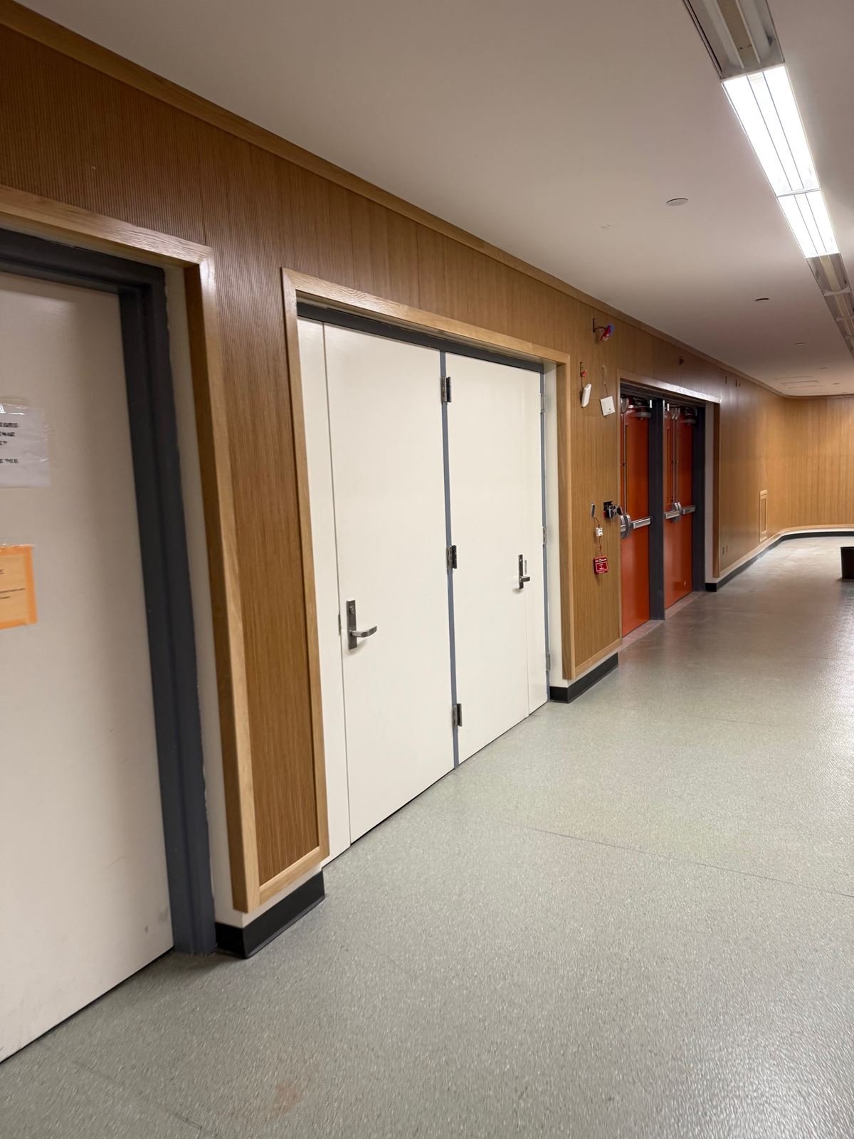 School corridor finished with warm wood wall paneling, new doors and speckled resilient flooring
