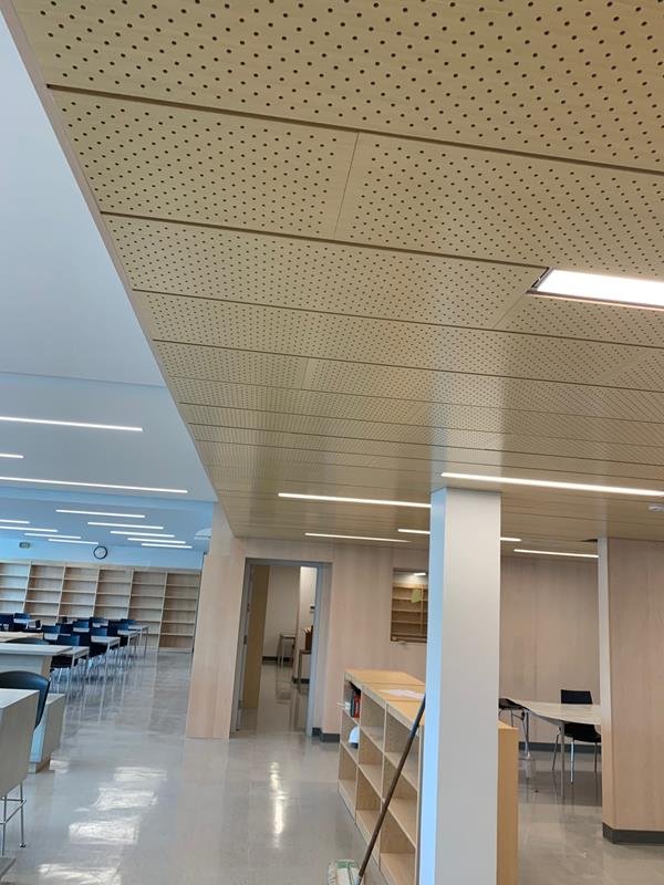 Thomas Edison High School library with perforated wood acoustic ceiling and maple shelving
